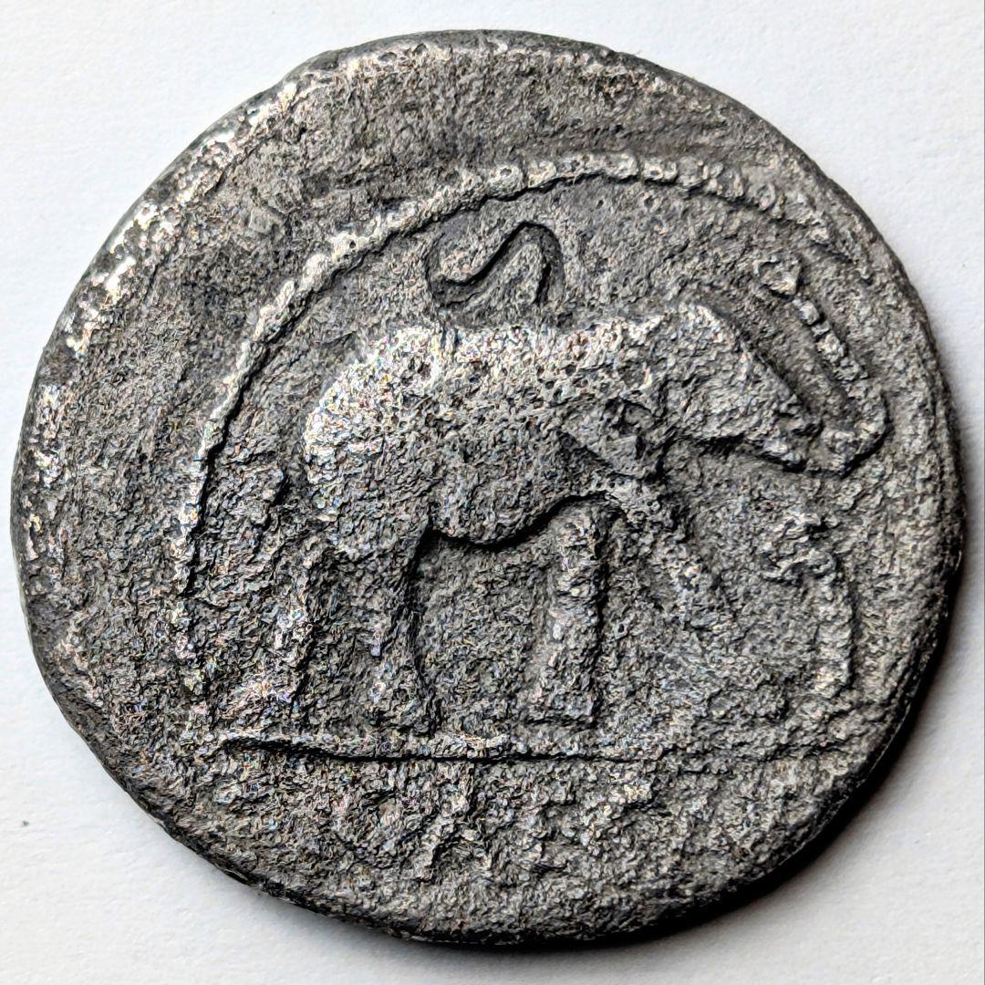 TKC017 ユリウス・カエサルの象コイン - メルカリ