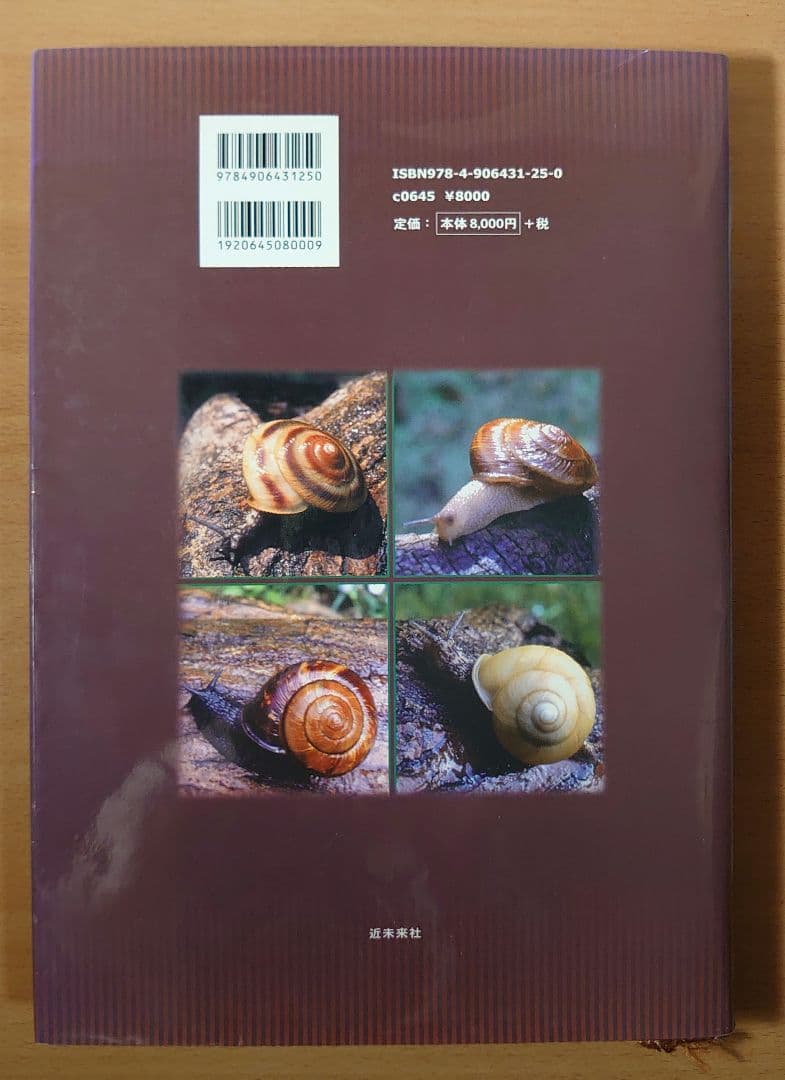マイマイ属 かたつむりの世界 川名美佐男 - メルカリ