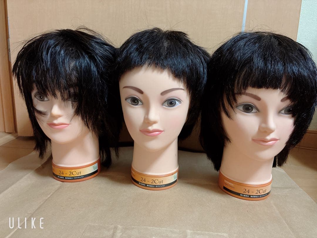 美容師国家試験練習用ウィッグ3体セット 24-2Cut ユーカリジャパン