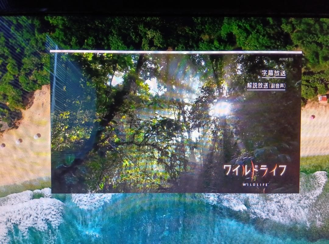 toya様専用【REGZA PC D732 D732/V9GB】 - メルカリ