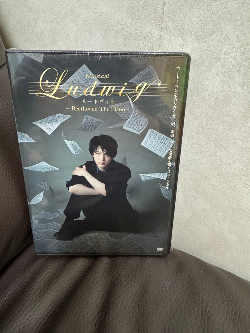 ミュージカル『ルードヴィヒ』DVD 豪華版 ミニ写真3枚付き - メルカリ