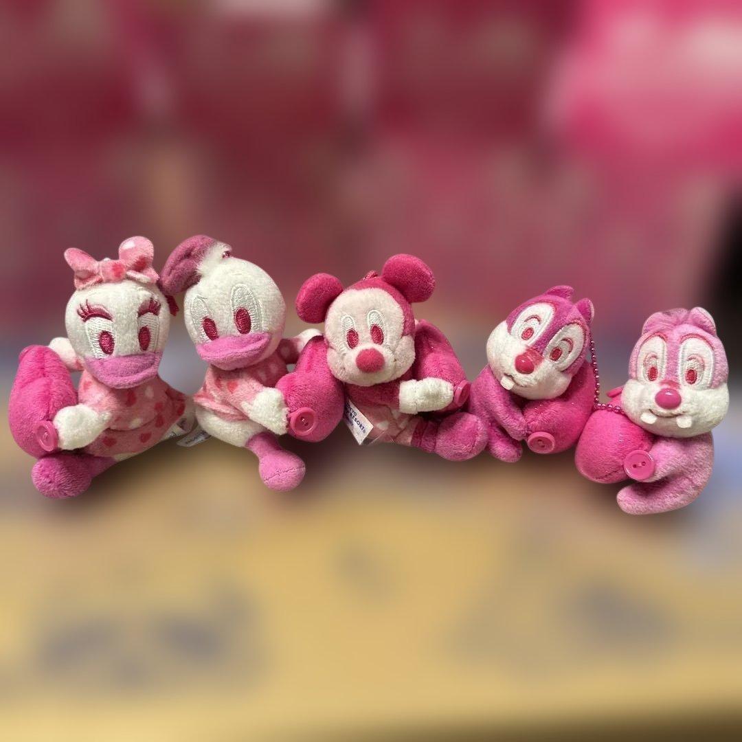 ミニーマウス ぬいぐるみ 東京ディズニーランド 5点セット ぬいぐるみ