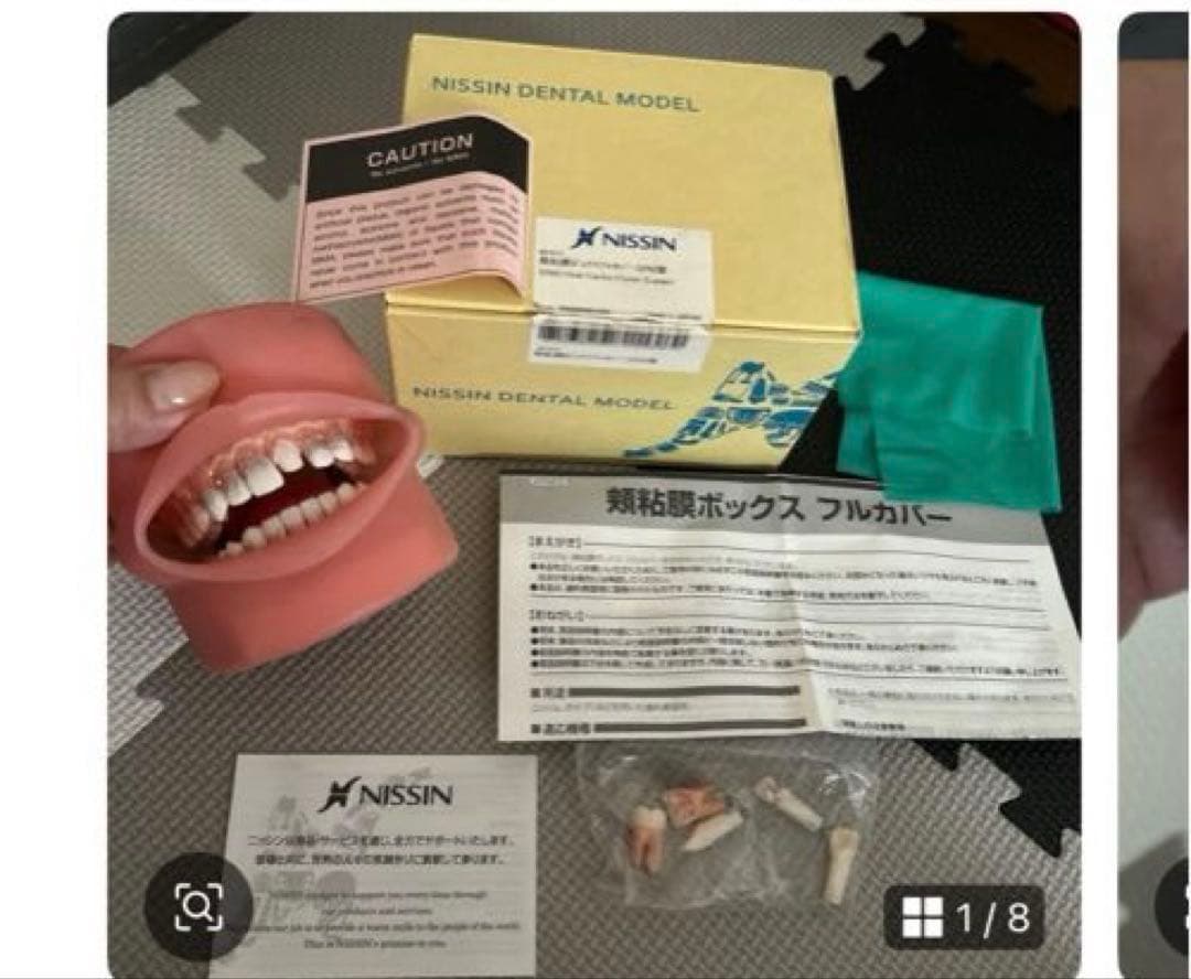 NISSIN歯の模型と、頬粘膜ボックスフルカバー SPMIII