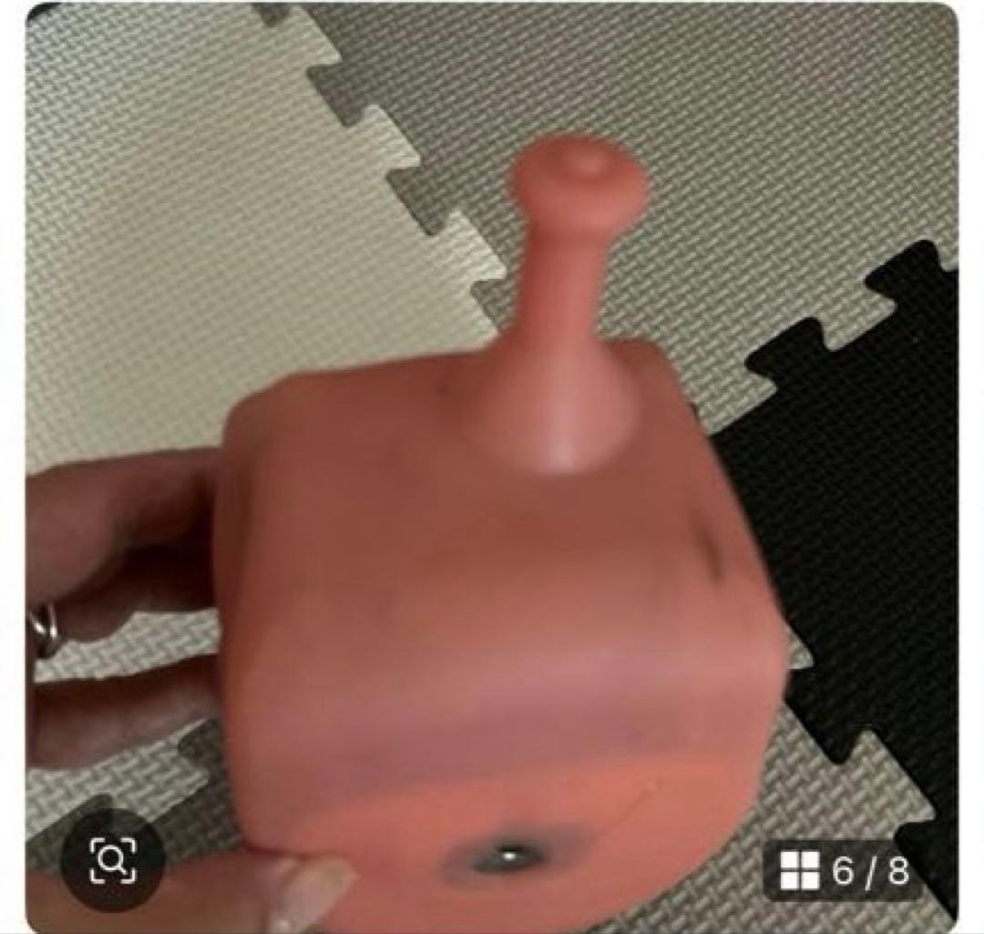 NISSIN歯の模型と、頬粘膜ボックスフルカバー SPMIII