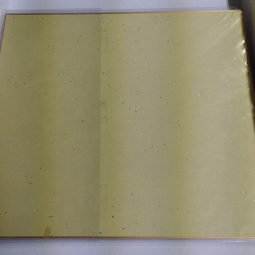 K1 戦士 ファイター アーネスト ホースト 直筆サイン入り色紙 フォト