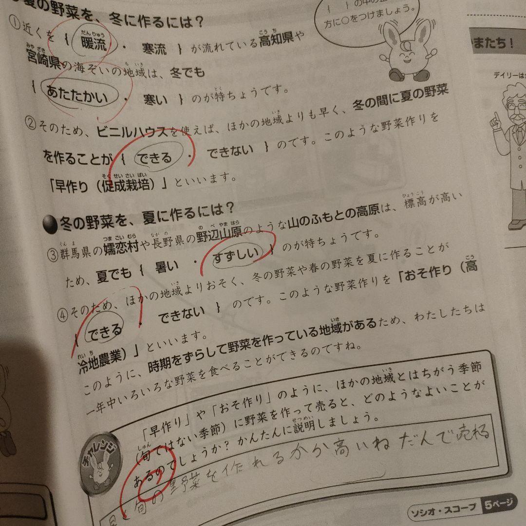 SAPIX 小学4年 社会 デイリー＆春期＆夏期＆冬期 フルセット2021年度版