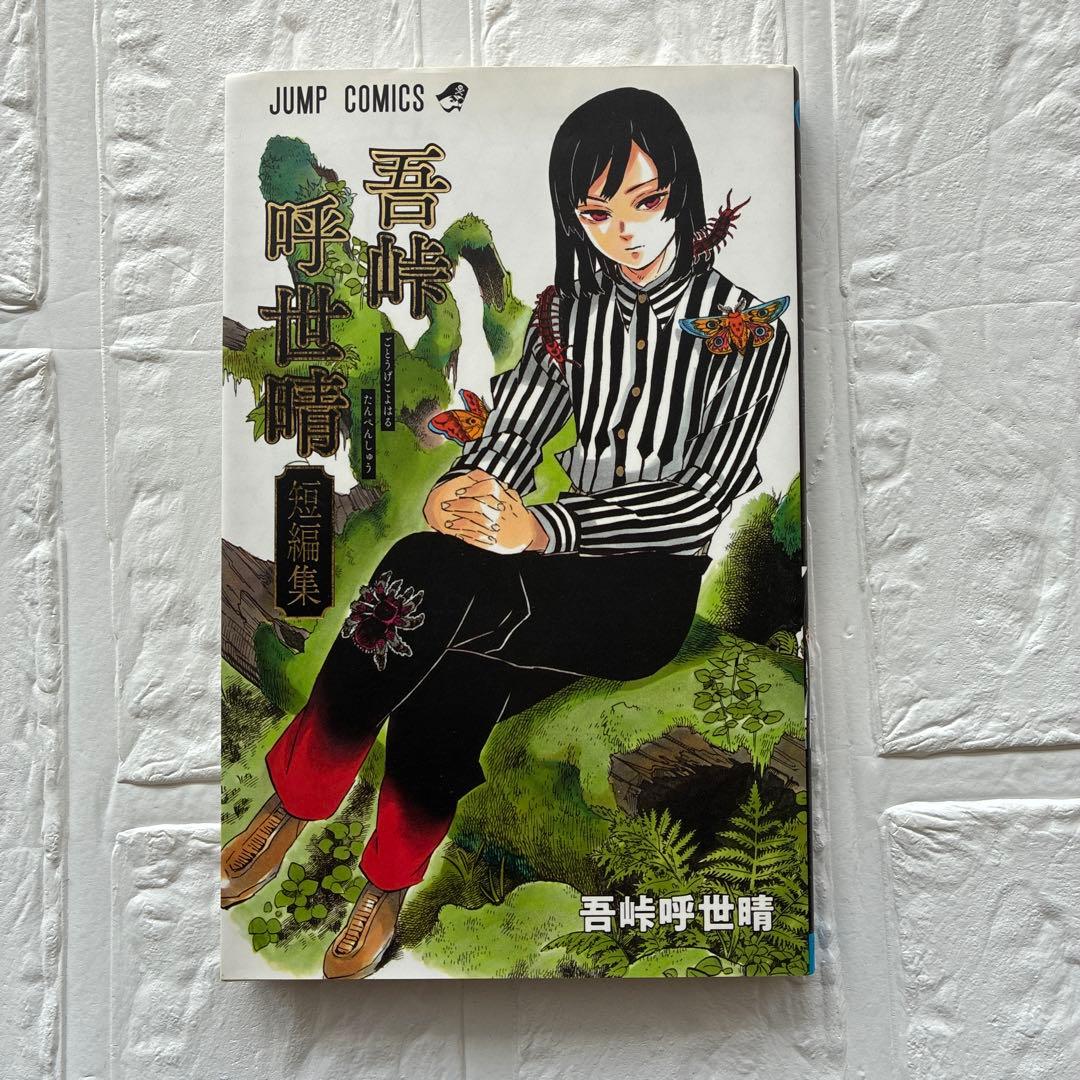 鬼滅の刃 全巻セット＋鬼殺隊見聞録、吾峠呼世晴短編集 - メルカリ