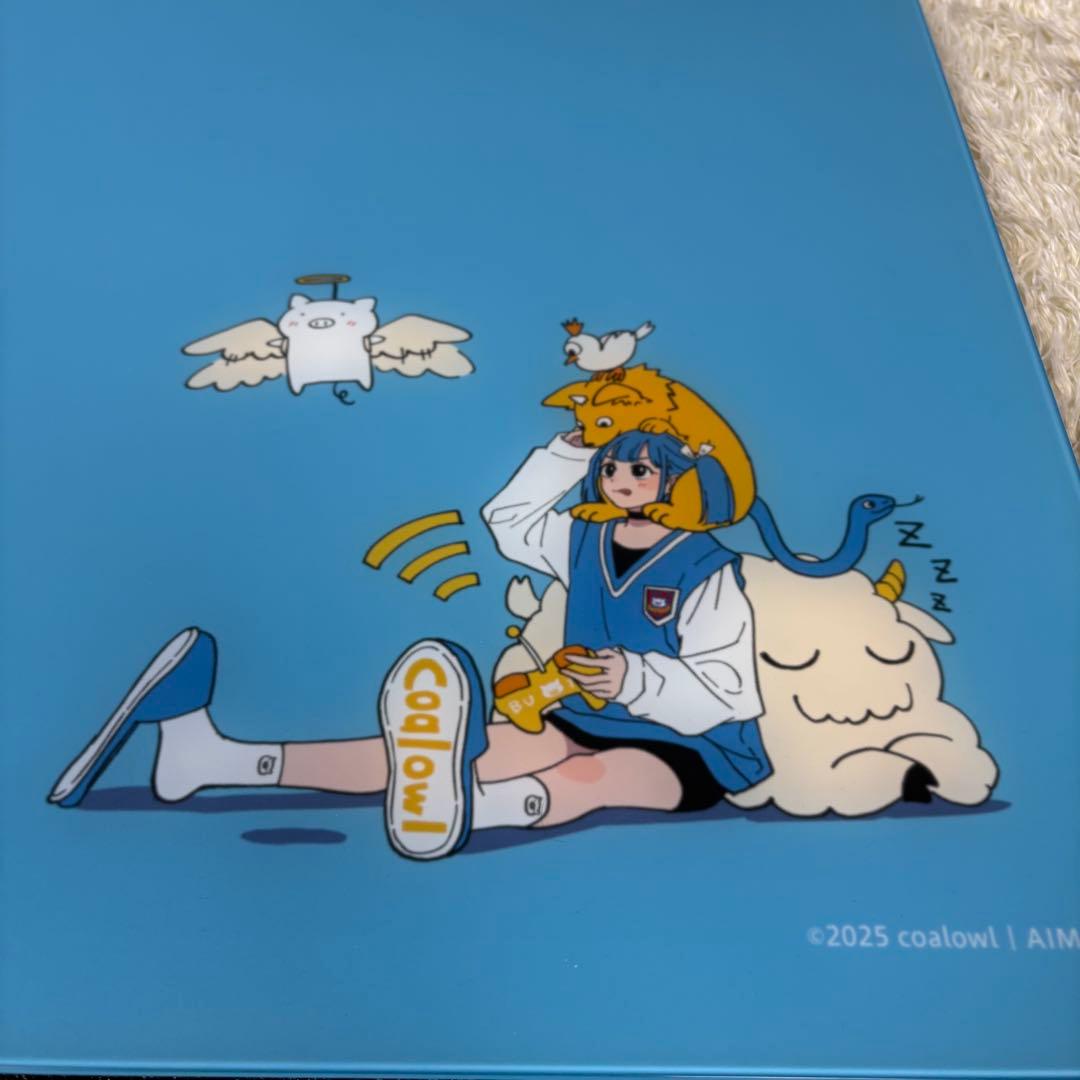 未使用級】 coalowl x AIM1 叢雲 - メルカリ