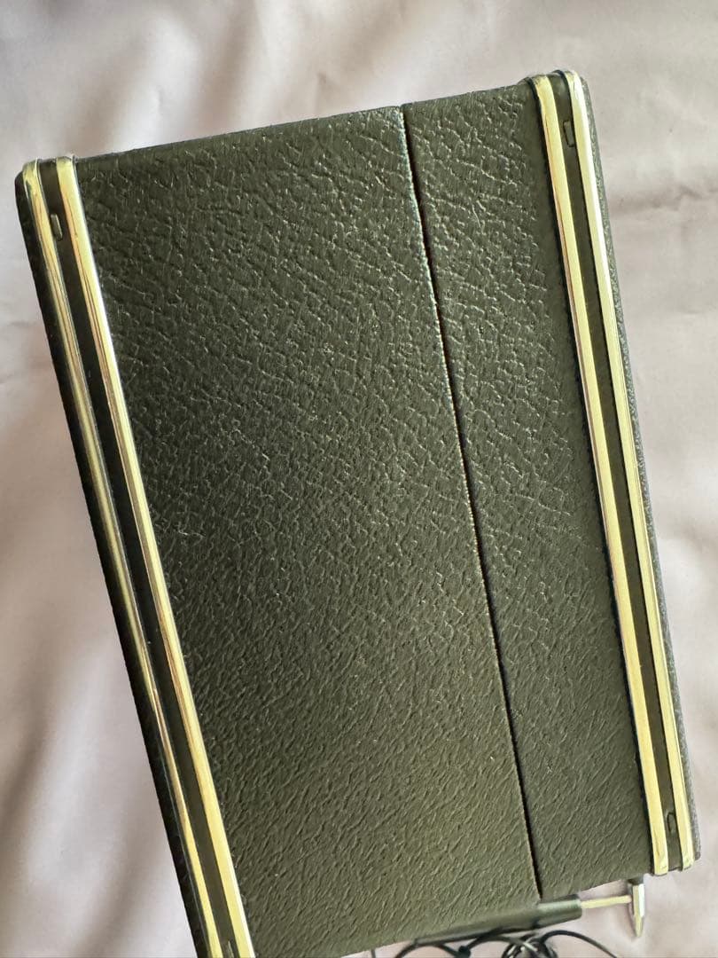 【最終価格】良導絡　美品　ケース入り　トロメーター ノイロメーター　IW-ZEN