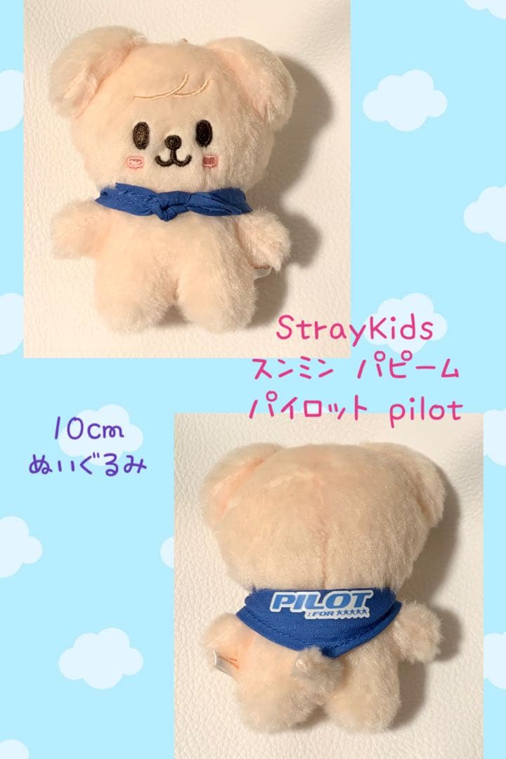 StrayKids スンミン パピーム 10cm ぬい パイロット pilot - メルカリ