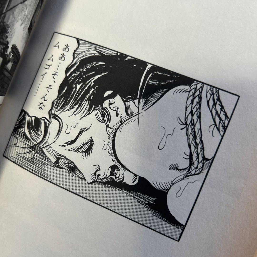 大幅値下げ‼️初版‼️あの責め絵師、笠間しろう/「淫虐の貴婦人」