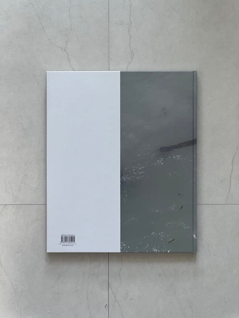 アート・デザイン・音楽 Viviane Sassen \"PARASOMNIA\"