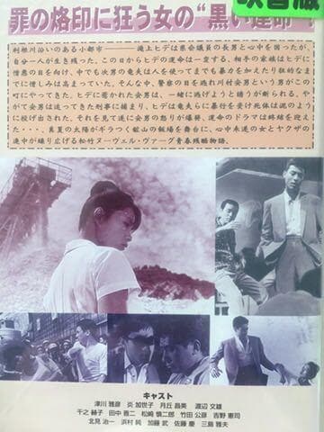 ☆中古ビデオ 悪人志願 三人の男女の物語 田村孟 炎加世子 津川雅彦