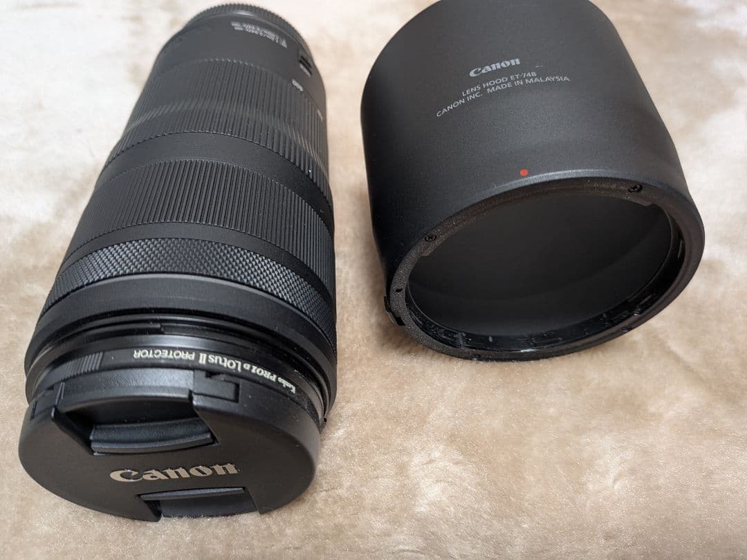 ドンドン　Canon RF 100-400mm F5.6-8 IS USM