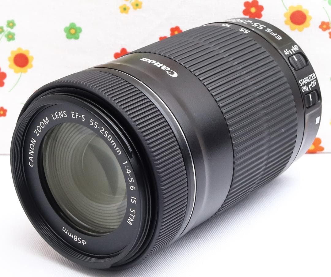 Canon EF-S 55-250mm IS STM ☆ブレずに捉える望遠レンズ CANON EF-S55-250mm F4-5.6 IS STM 価格比較 - 価格.com