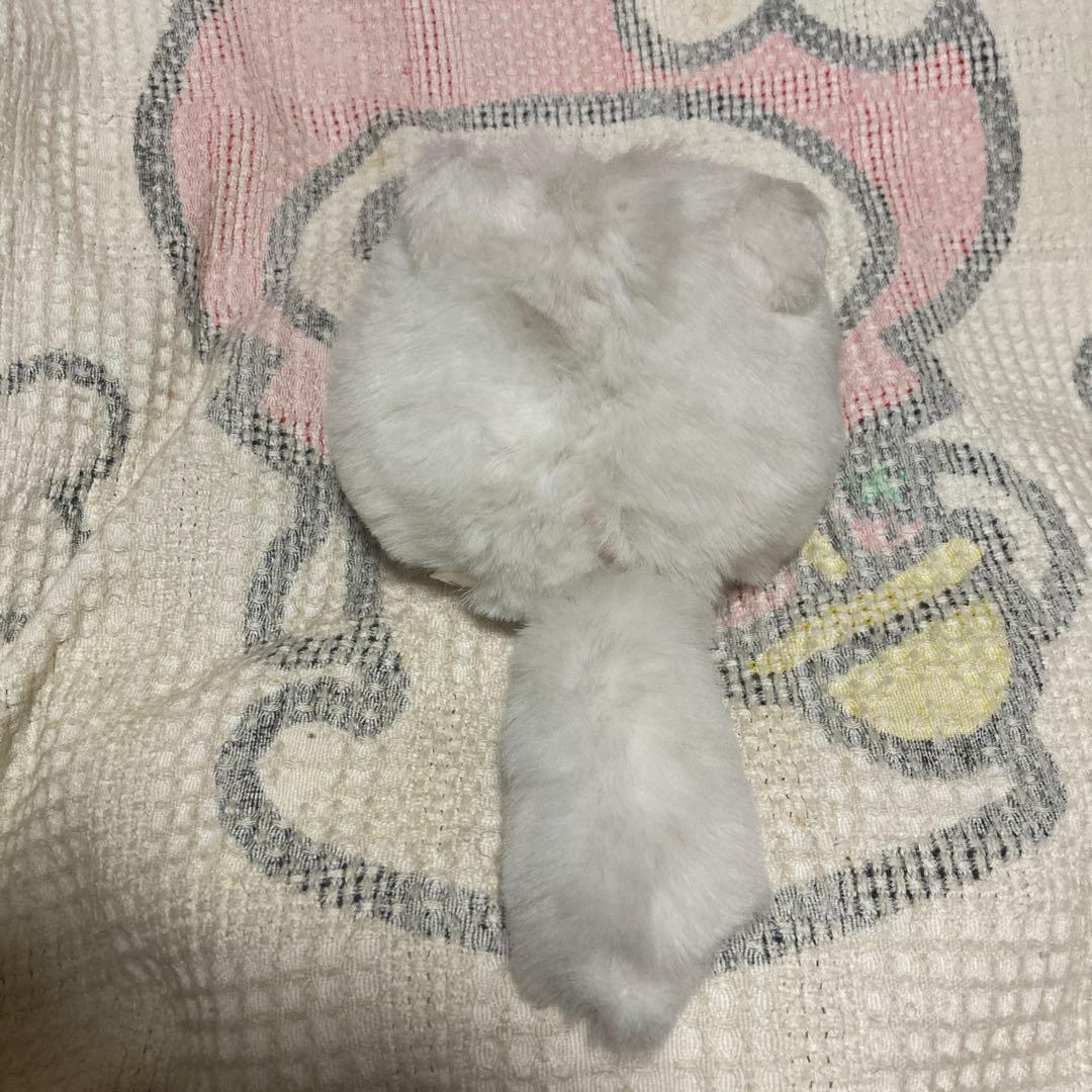 モンスイユ MAY BLUE 白猫 ぬいぐるみ 中古品 - メルカリ