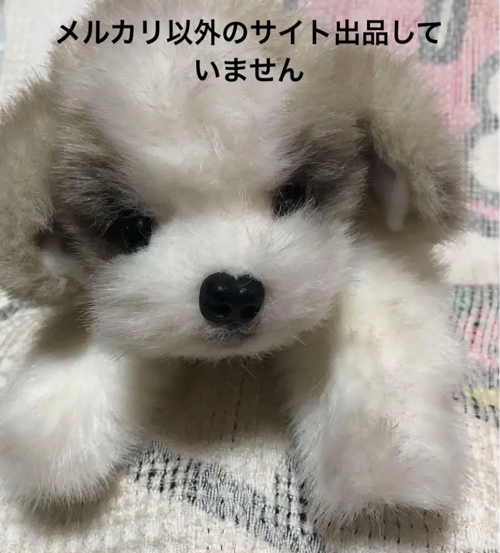 四季オリジナル ぬいぐるみ シーズー 犬 中古品 寝そべりポーズ - メルカリ