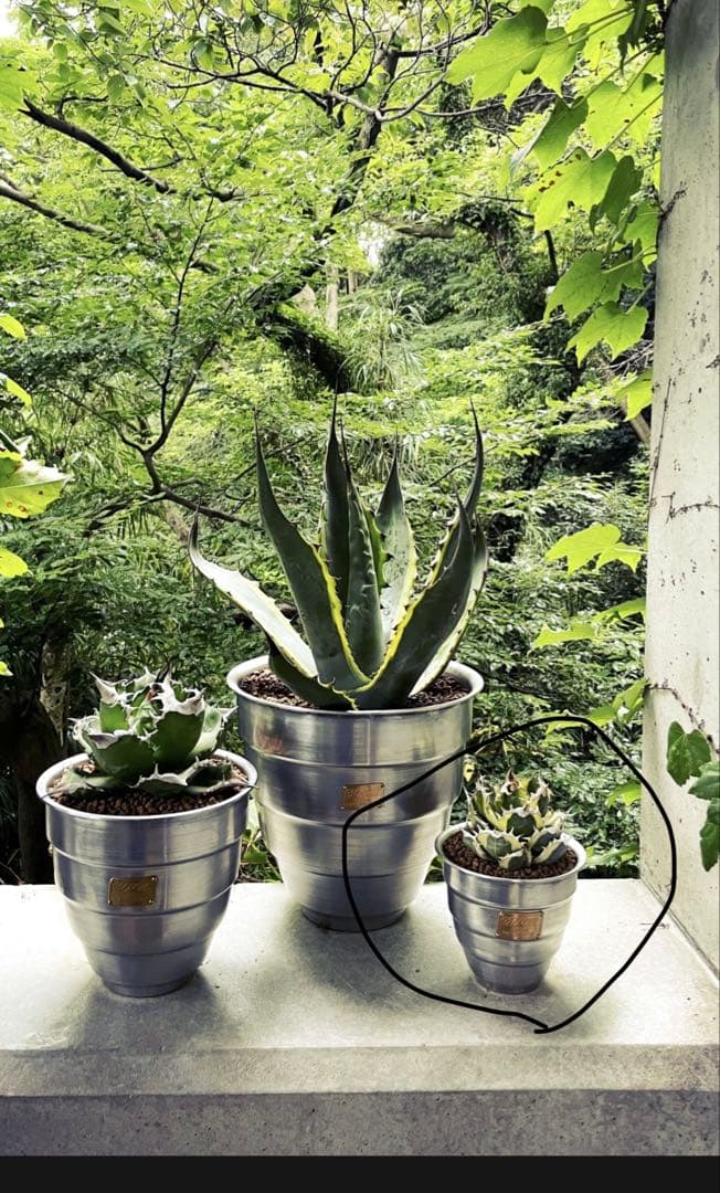 masses×M&m TYPE1 【Chrysails 】Aluminum M&M'S Milk Chocolate Candy - 1.69 Oz - pavilions