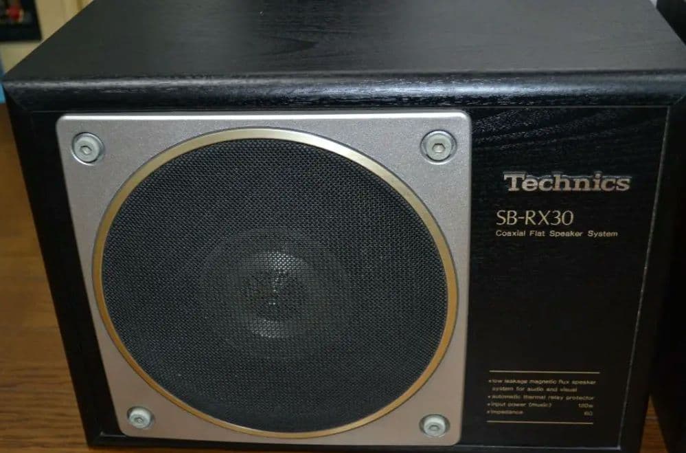 【美品】テクニクス SB-RX30（動作確認済みですが訳アリ）