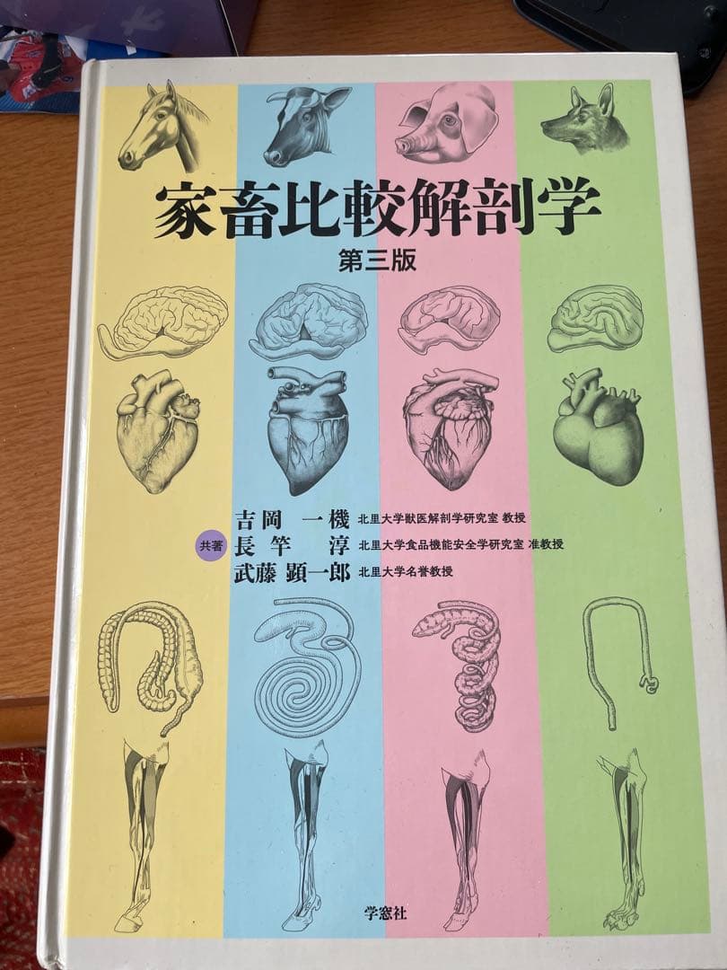 家畜比較解剖学 第三版 - メルカリ