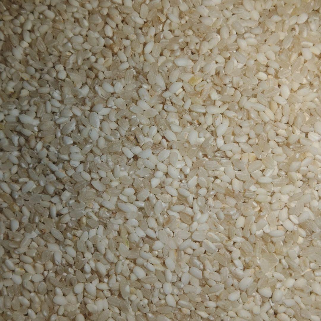 くず米 精米 24kg【飼料用】 - メルカリ