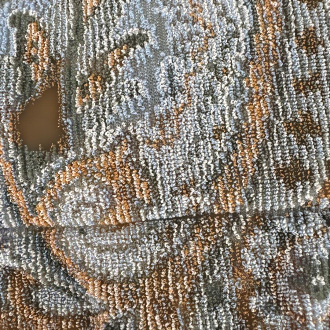 新品タグ付】エトロ ウールタオルケット 西川産業 ペイズリー柄