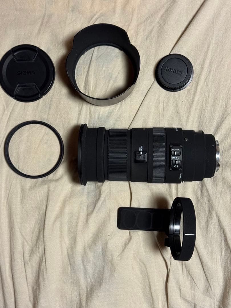 シグマAPO 50-500mm f4.5-6.3 DG OS HSM