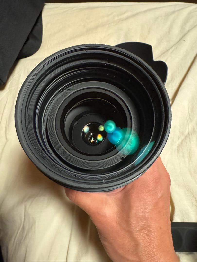 シグマAPO 50-500mm f4.5-6.3 DG OS HSM