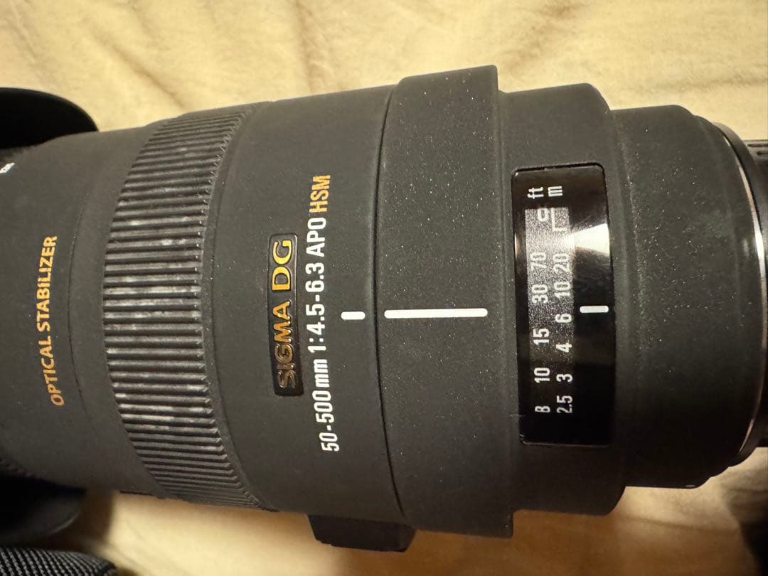 シグマAPO 50-500mm f4.5-6.3 DG OS HSM