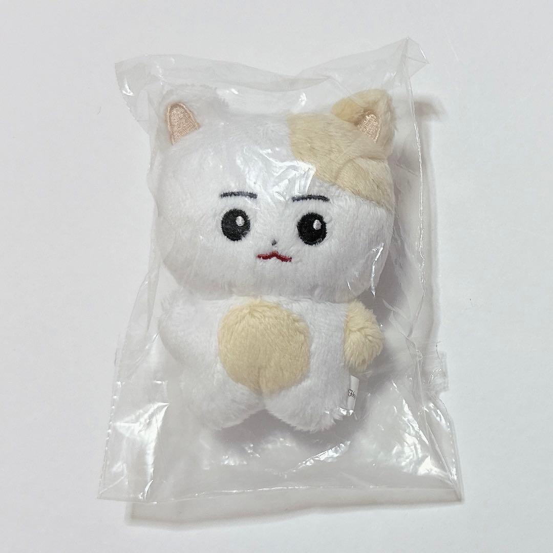 ヒスン ぬいぐるみ 10cm ENHYPEN マスター 人形 한국뵤 doll - メルカリ