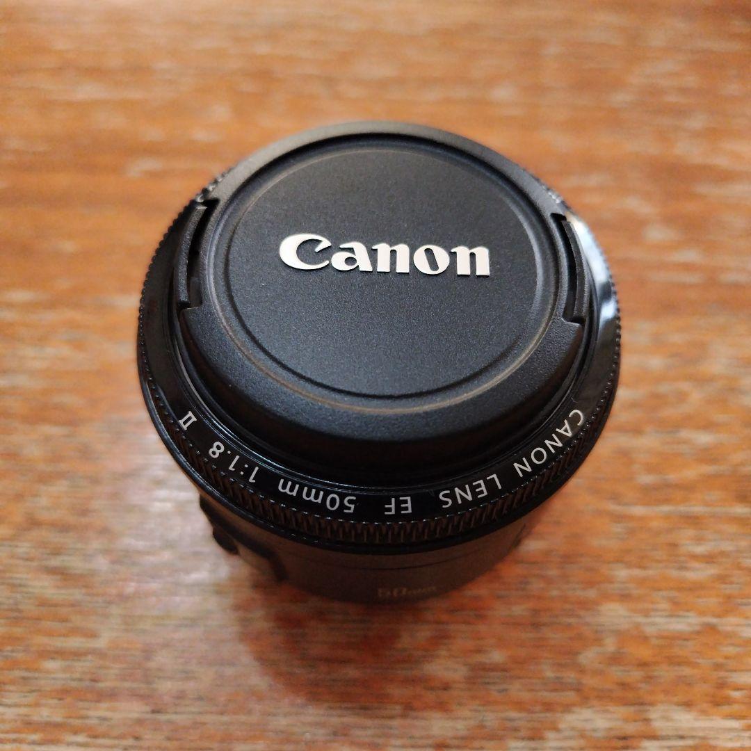 Canon (キヤノン)　EFレンズ 標準＆中望遠　EF50mm F1.8 Ⅱ EF50mm F1.8 II - キヤノンカメラミュージアム