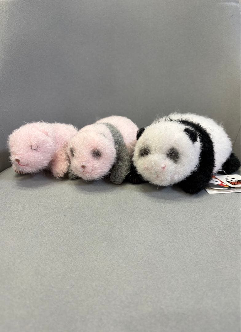 【希少】上野動物園 シャンシャン ほんとの大きさ ぬいぐるみ 3個セット Amazon.co.jp: シャンシャン ぬいぐるみ ほんとの大きさ 608g 上野