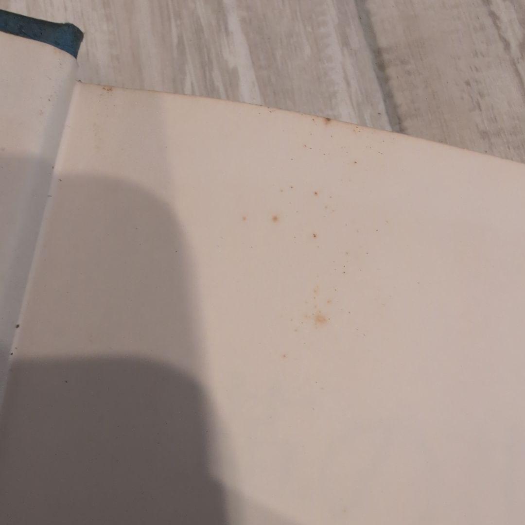 革の花・きららフラワー 川合京子著