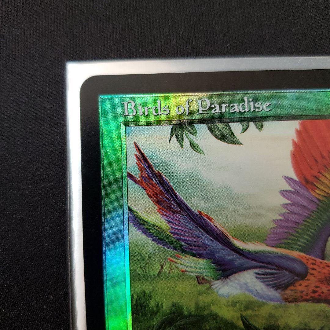 極楽鳥 MTG 7版 英語版 Foil Edward先生サイン入 - メルカリ