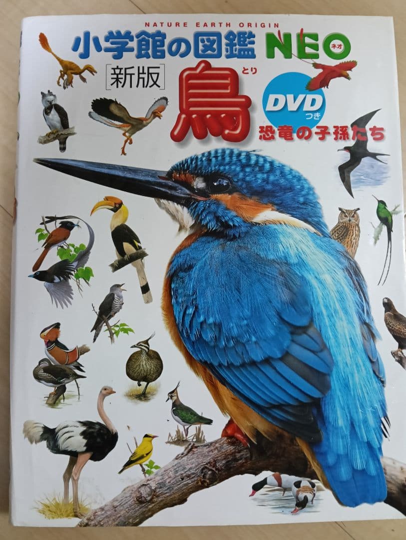 小学館の図鑑 NEO 新版 昆虫 花 恐竜 動物 鳥 魚 新版 学研 LIVE