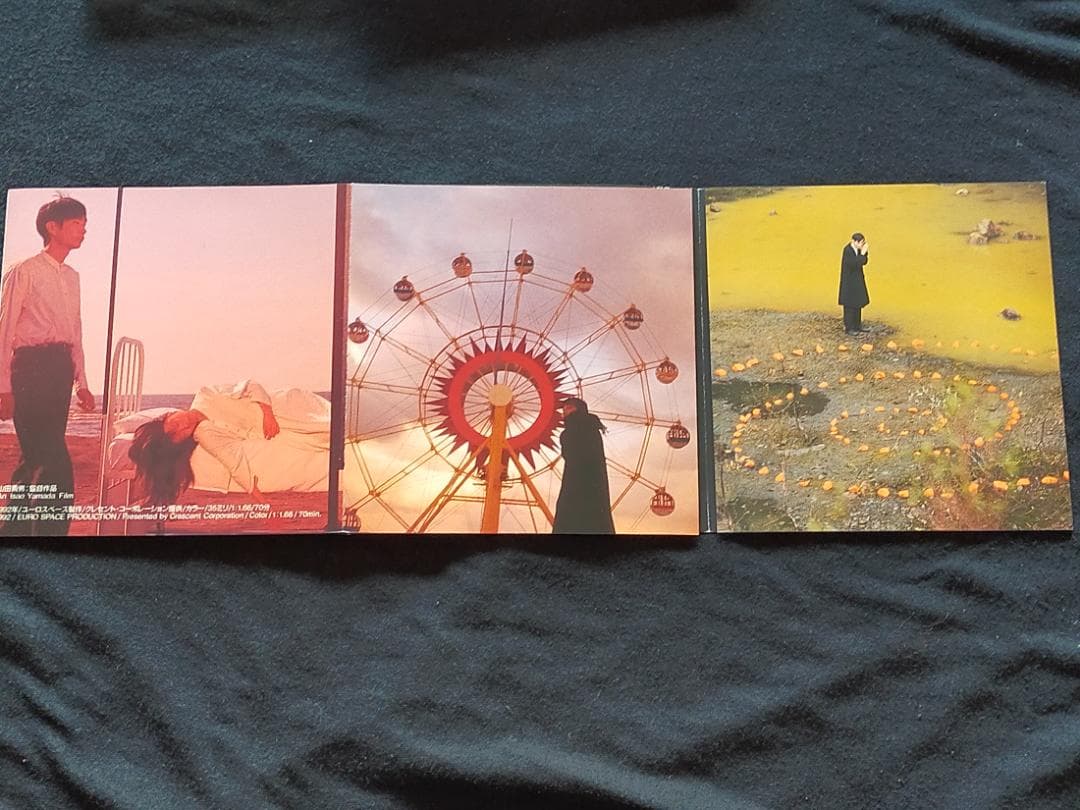 アンモナイトのささやきを聞いた サイモン・フィッシャー・ターナー