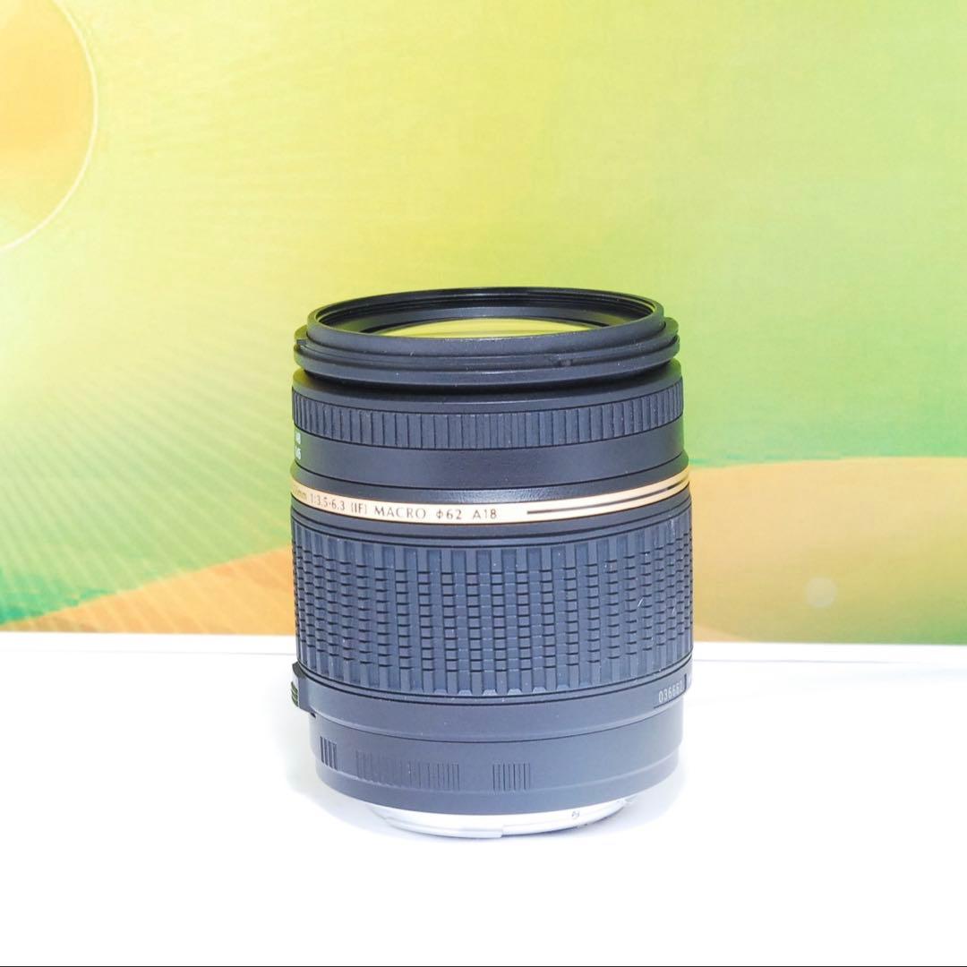 美品✨TAMRON AF 18-250mm F3.5-6.3 A18 Canon