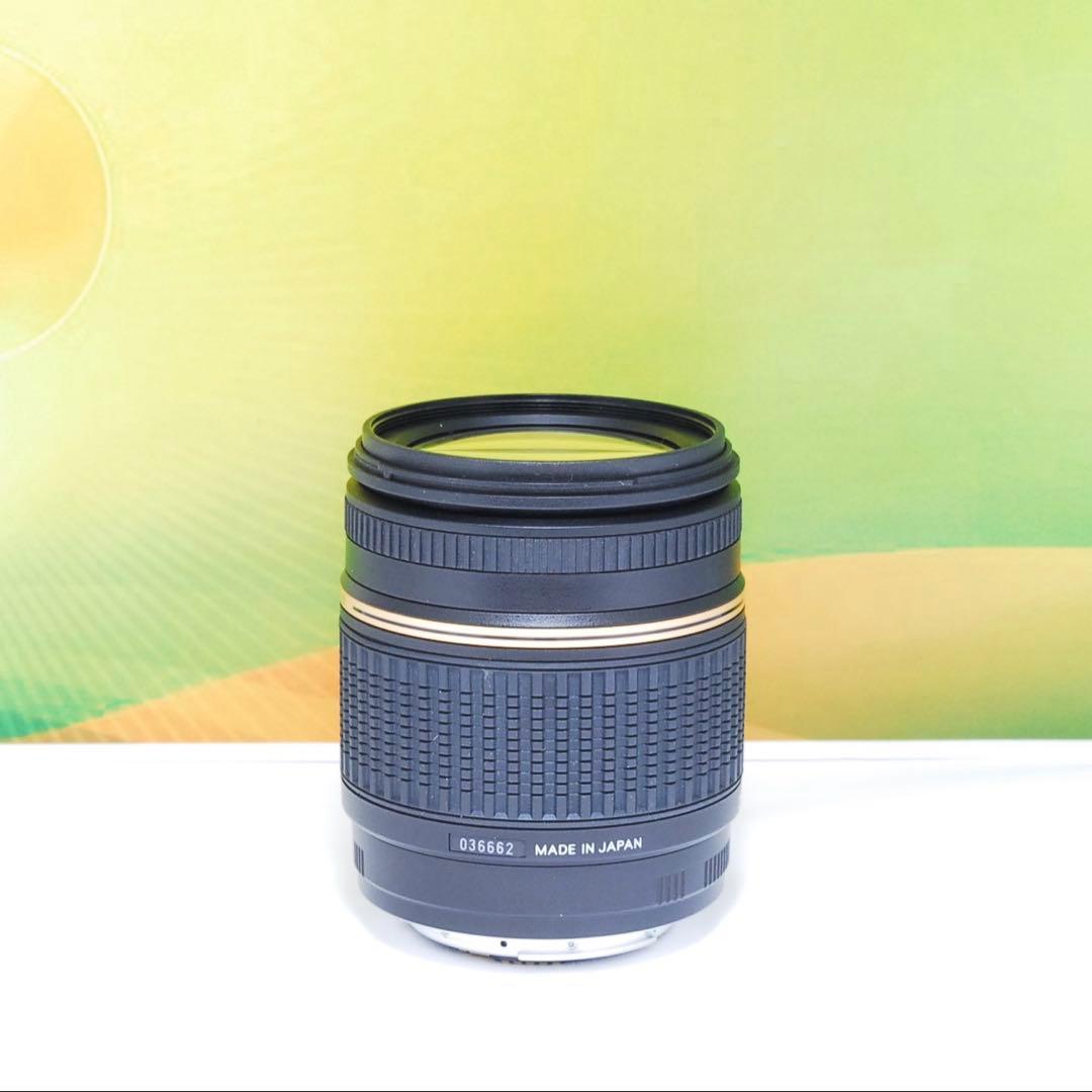 美品✨TAMRON AF 18-250mm F3.5-6.3 A18 Canon