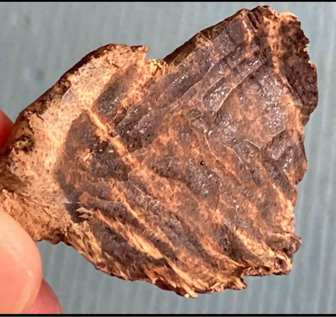 シャム　シャム沈香　沈香　天然沈香　香木 3.58g