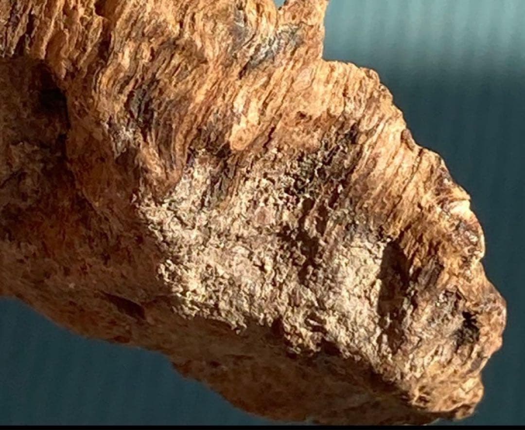 シャム　シャム沈香　沈香　天然沈香　香木 3.58g