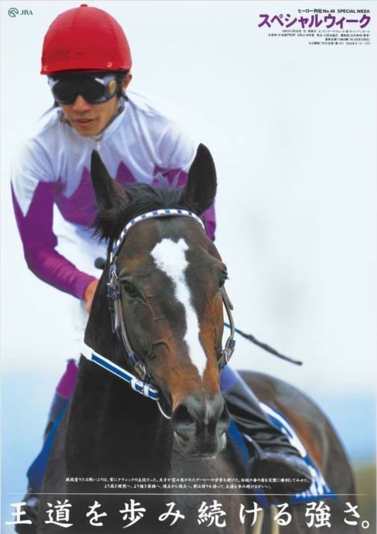 【非売品】スペシャルウィーク ポスターB1 ウマ娘 競馬ぬいぐるみ AVANTI 楽天市場】SB【サラブレッドコレクション チェルヴィニア ふわふわ BIG