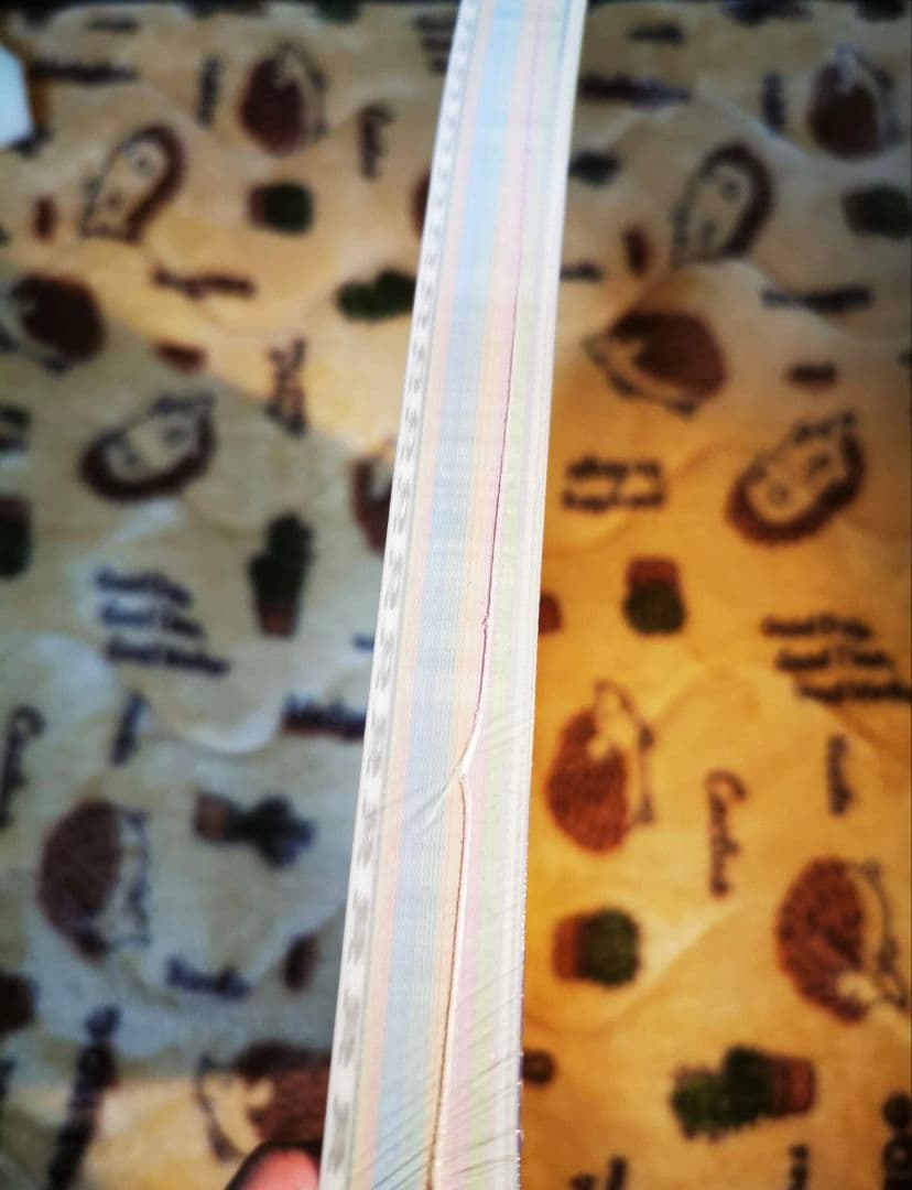 ゆずソフト イラスト集 ファンブック