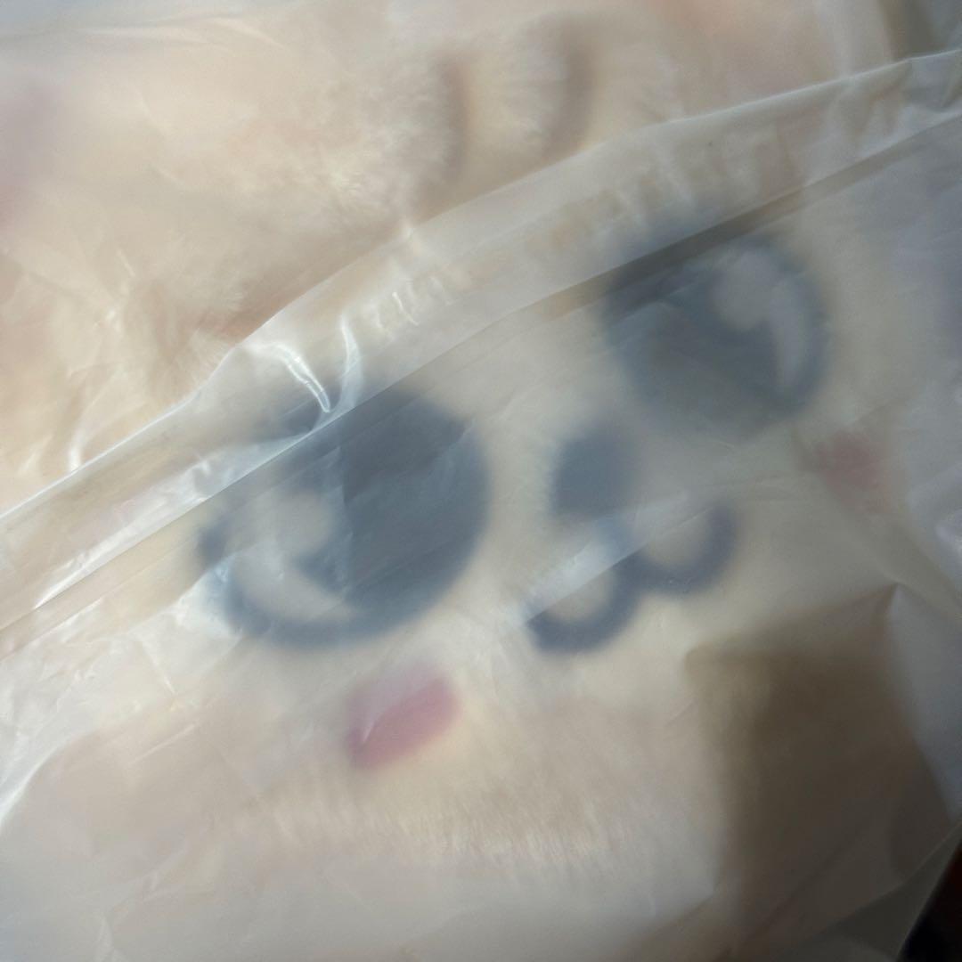 straykids スキズ celebrate puppym スンミン メンプロ - メルカリ