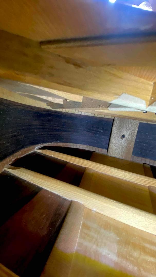 勇*悟様 値下げ希少❣人気種 1973年morris W-40 ハカランダ！HC - メルカリ