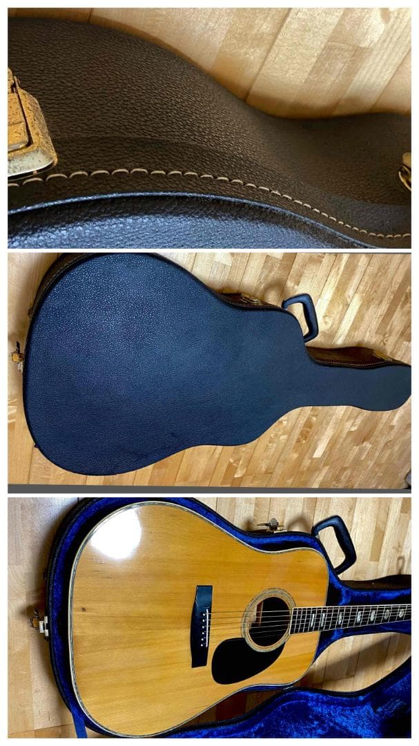 勇*悟様 値下げ希少❣人気種 1973年morris W-40 ハカランダ！HC - メルカリ