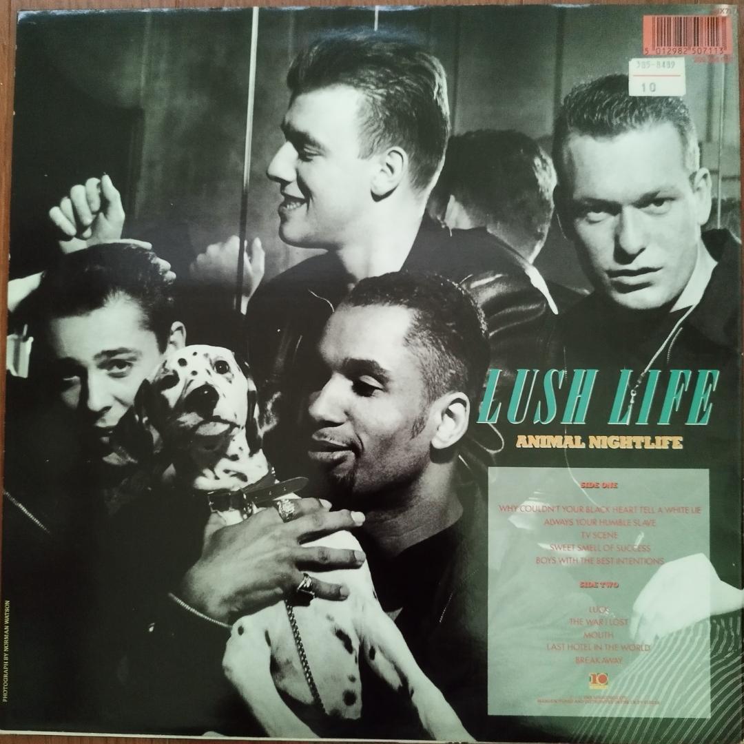 送料無料 激レア80'sUKソウル/ファンクLPまとめ売り #ACIDJAZZ - メルカリ