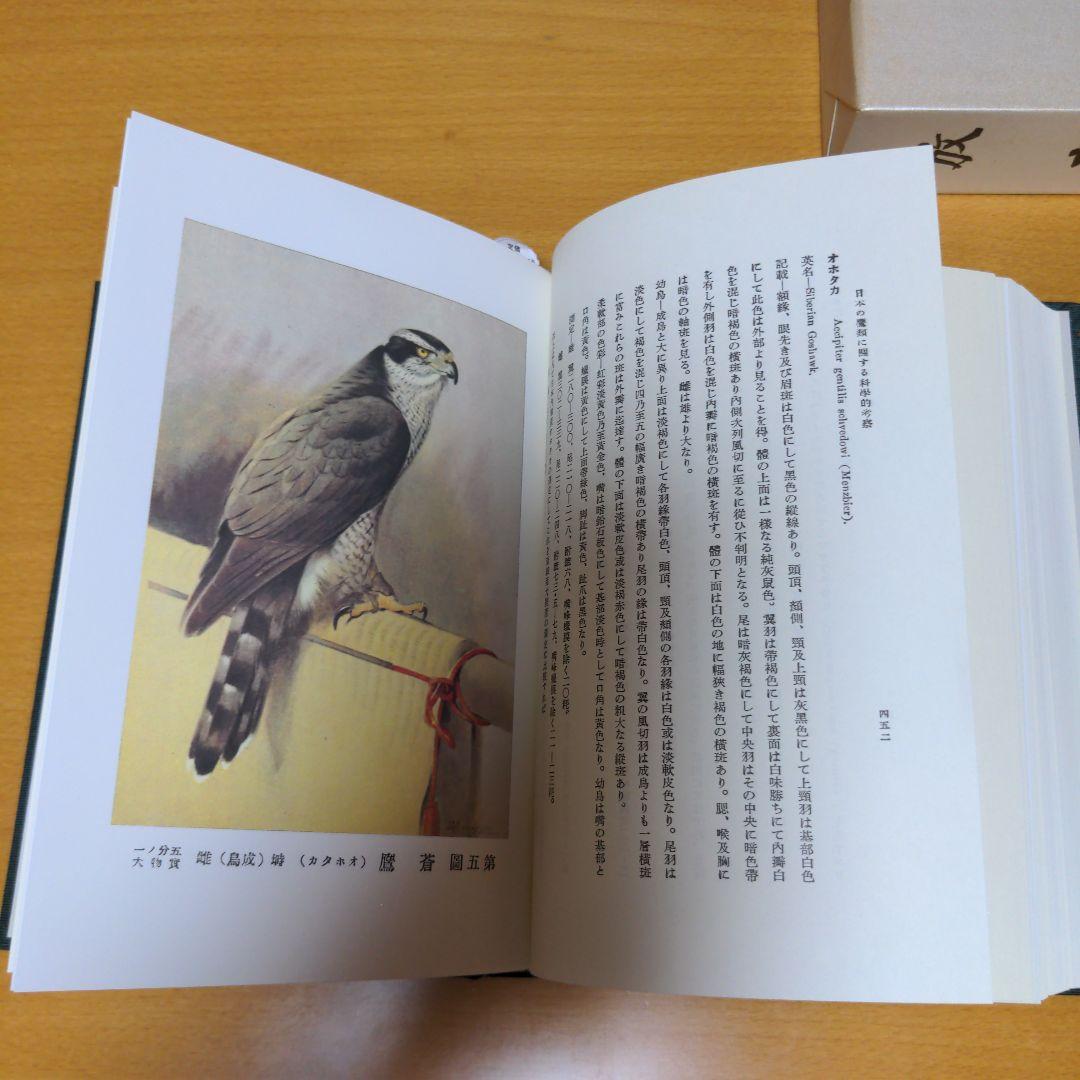 （モモ林檎）放鷹　新装版