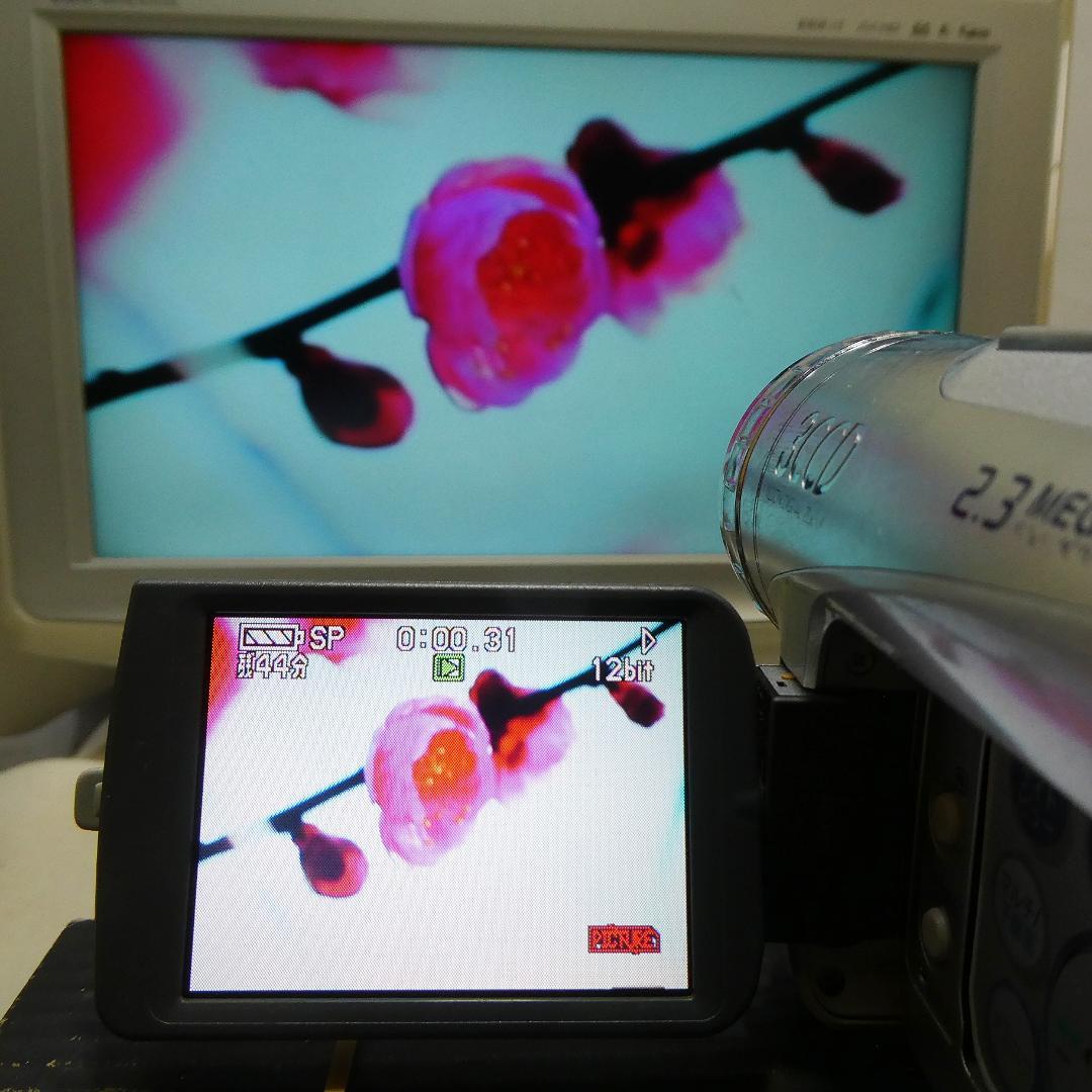 パナソニック NV-GS200 動作良好 MiniDVビデオDVDダビングに最適