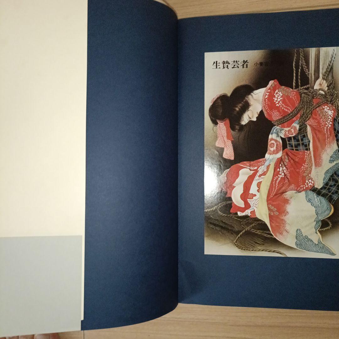 小妻容子緊縛画集　おまけ付き