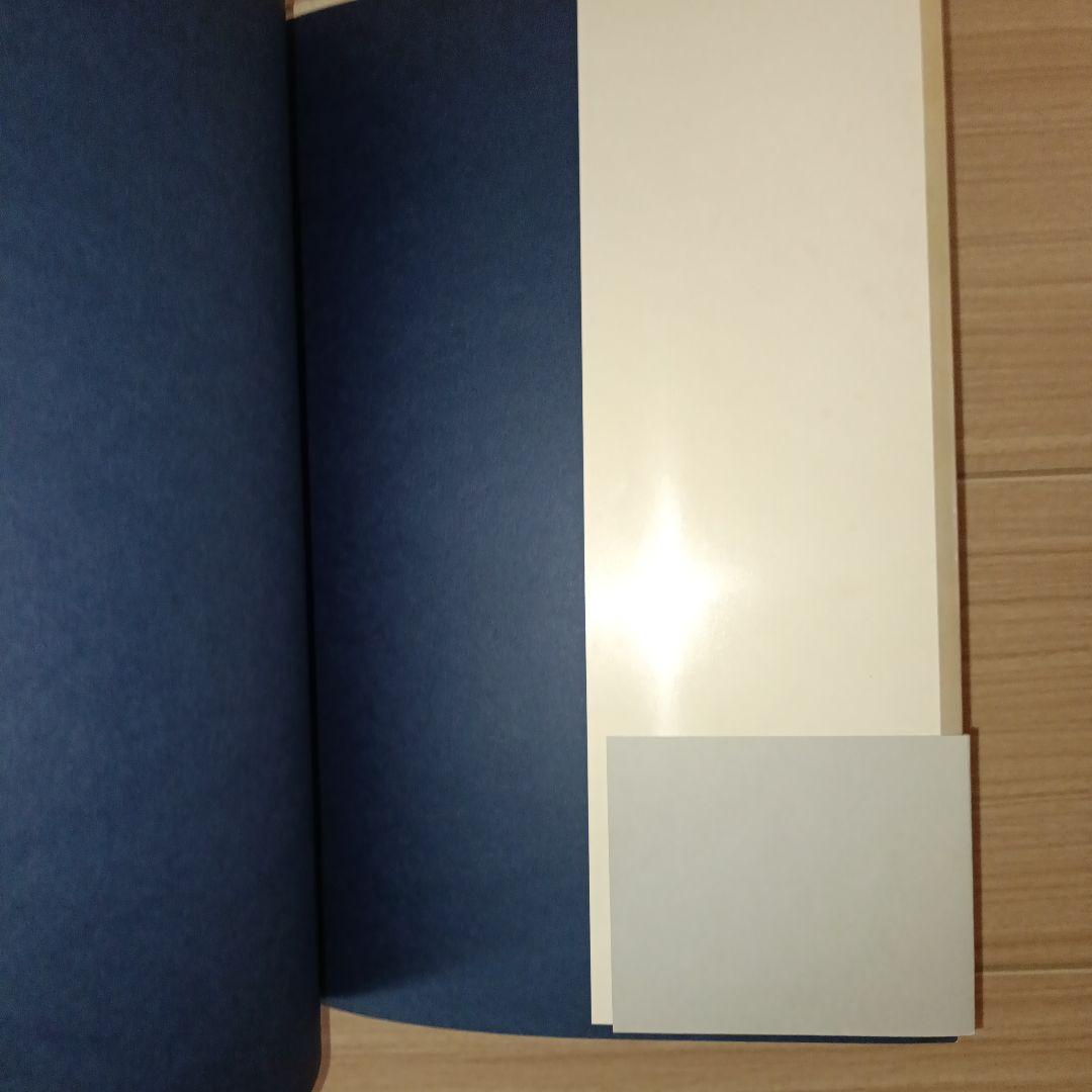 小妻容子緊縛画集　おまけ付き